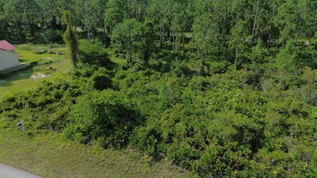 1115 Chiefland Street E, Lehigh Acres, FL 33974 photo 4