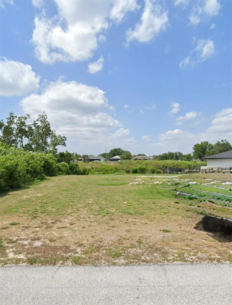 370 PARKER ST NE, Lake Placid, FL 33852 photo 3
