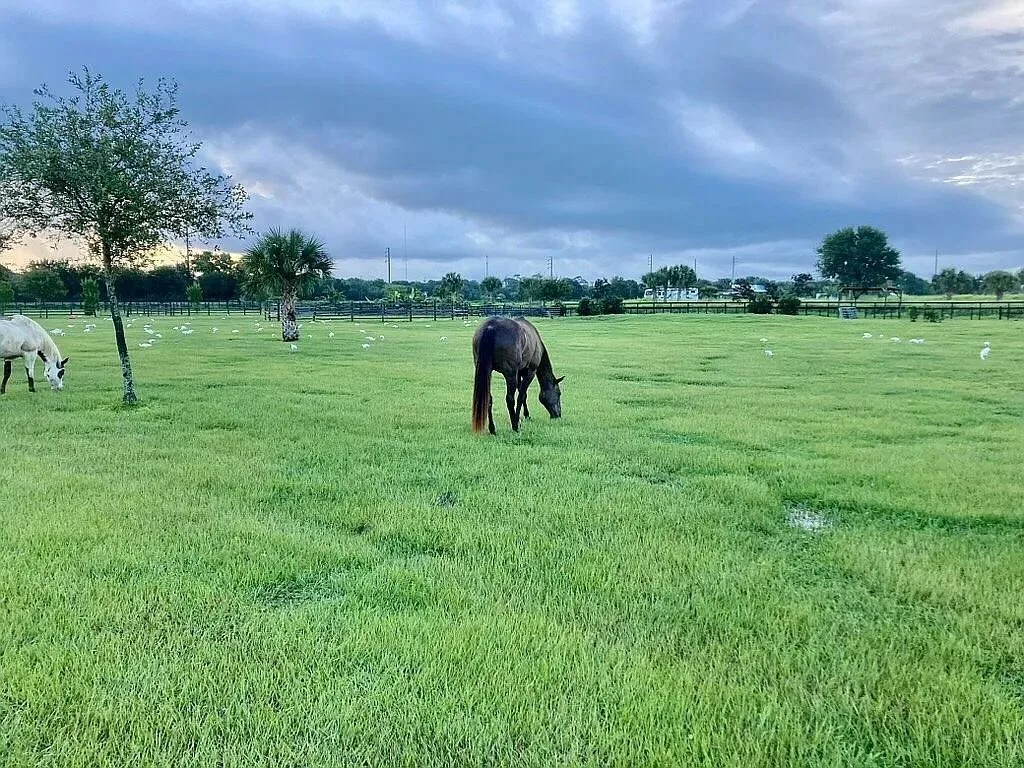 7565 Polo Square, Vero Beach, FL 32968 photo 7