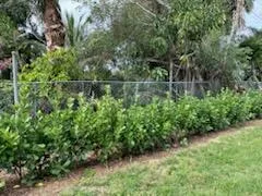 4404 SE Mulford Lane, Stuart, FL 34997 photo 3
