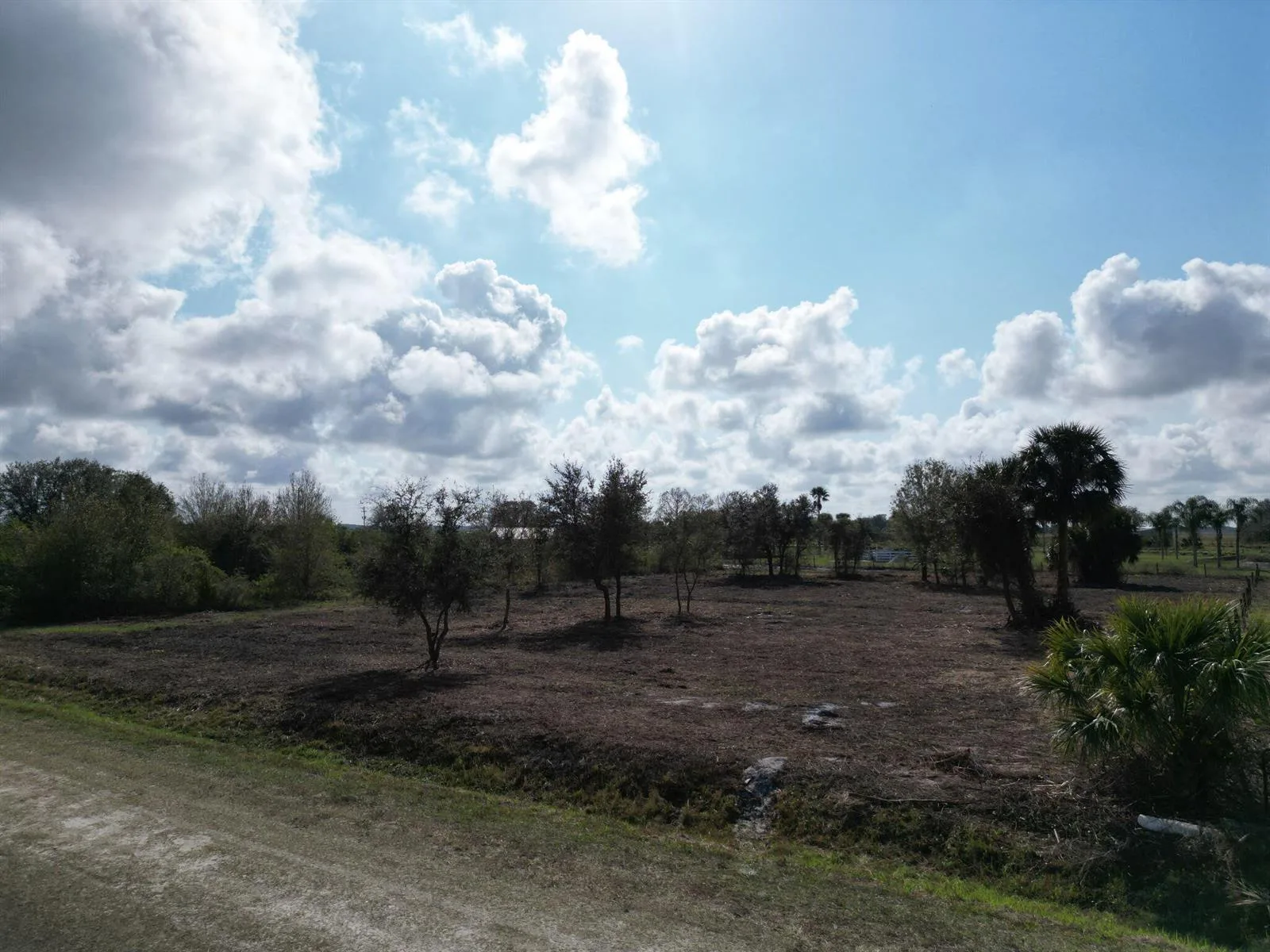 14510 NW 242ND Street, Okeechobee, FL 34972 — zdjęcie 3