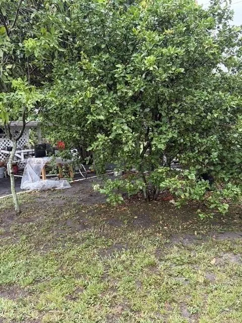 336 E 41st St, Hialeah, FL 33013 photo 11