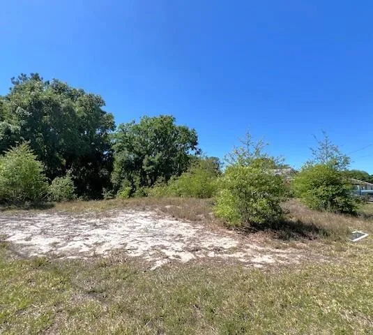 100 Honeycomb Avenue, Lake Placid, FL 33852 photo 3