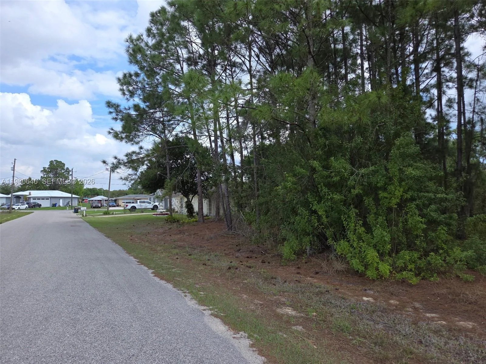 655 LYNN DR, Lake Placid, FL 33852 photo 2