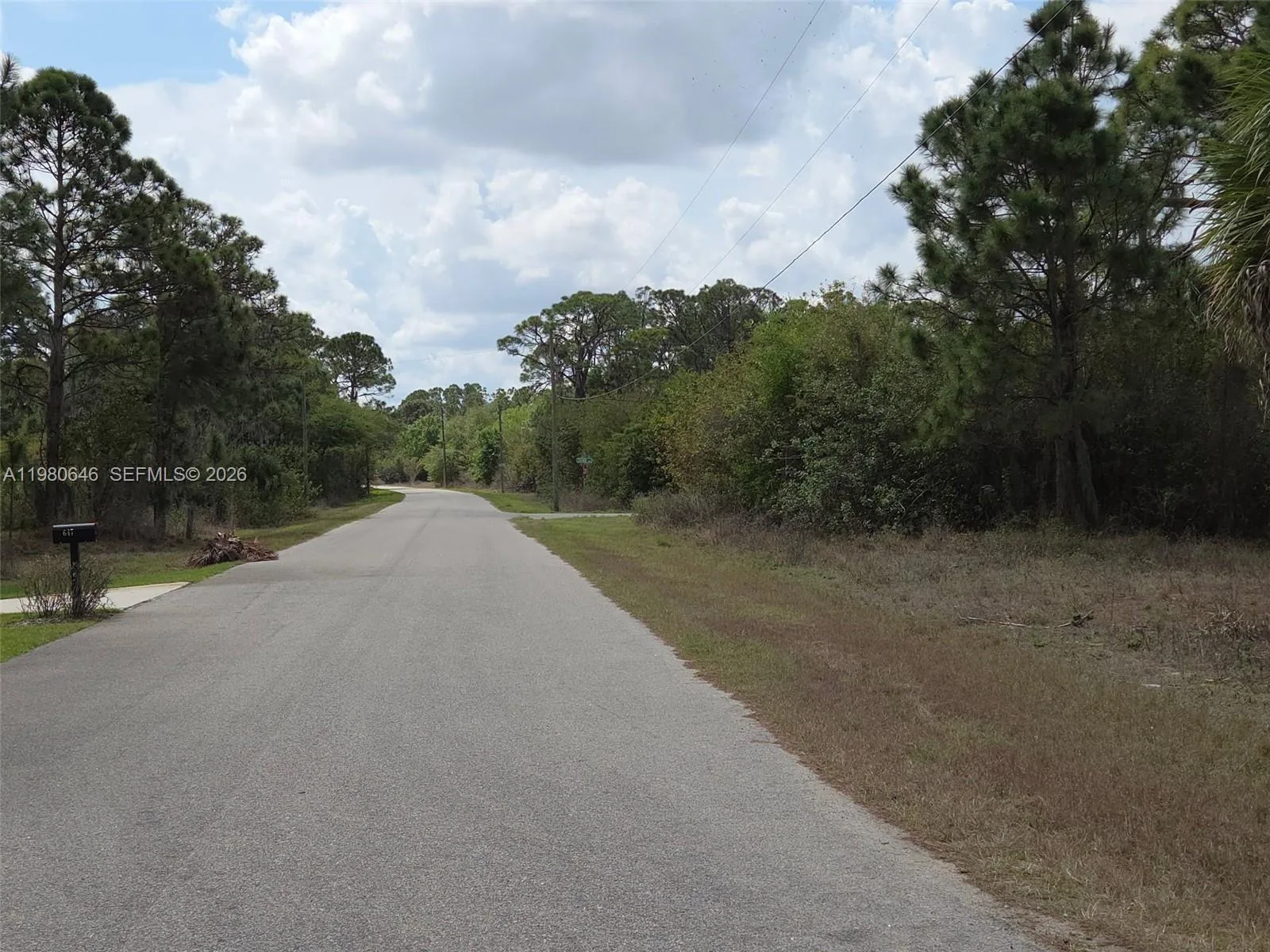655 LYNN DR, Lake Placid, FL 33852 photo 4