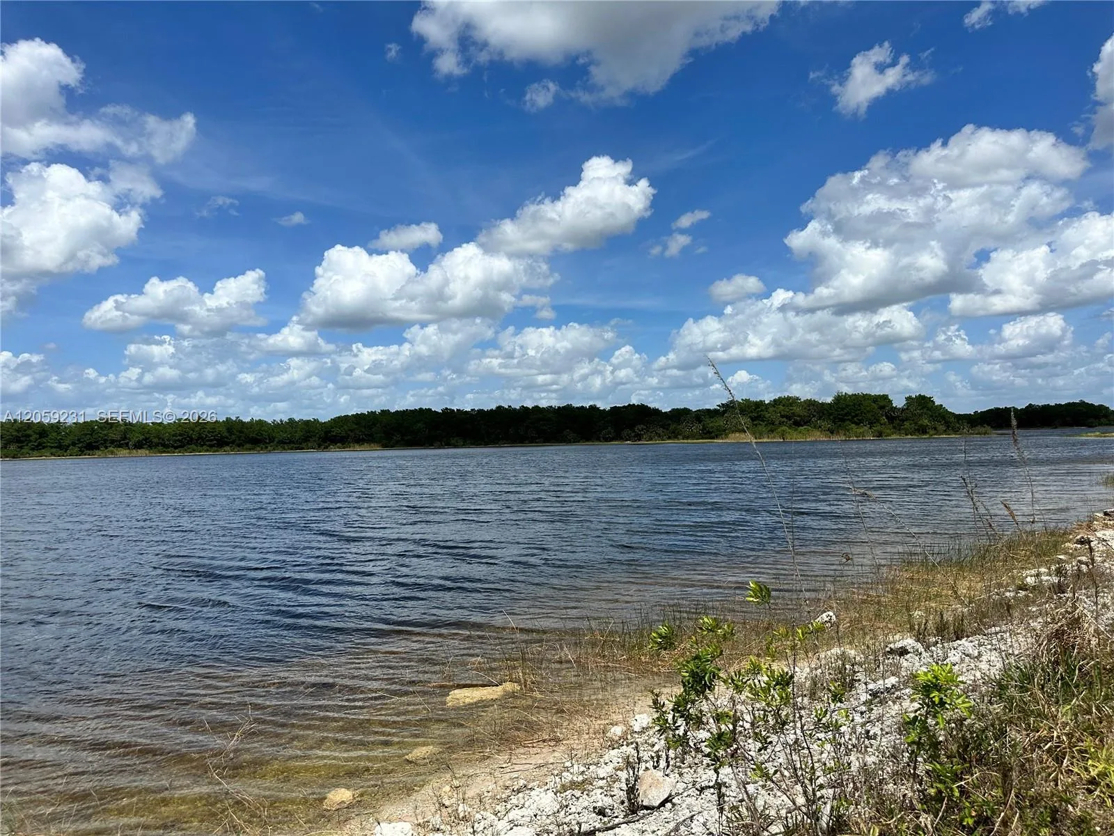 515 Shady hollow blvd W, Naples, FL 34120 photo 7
