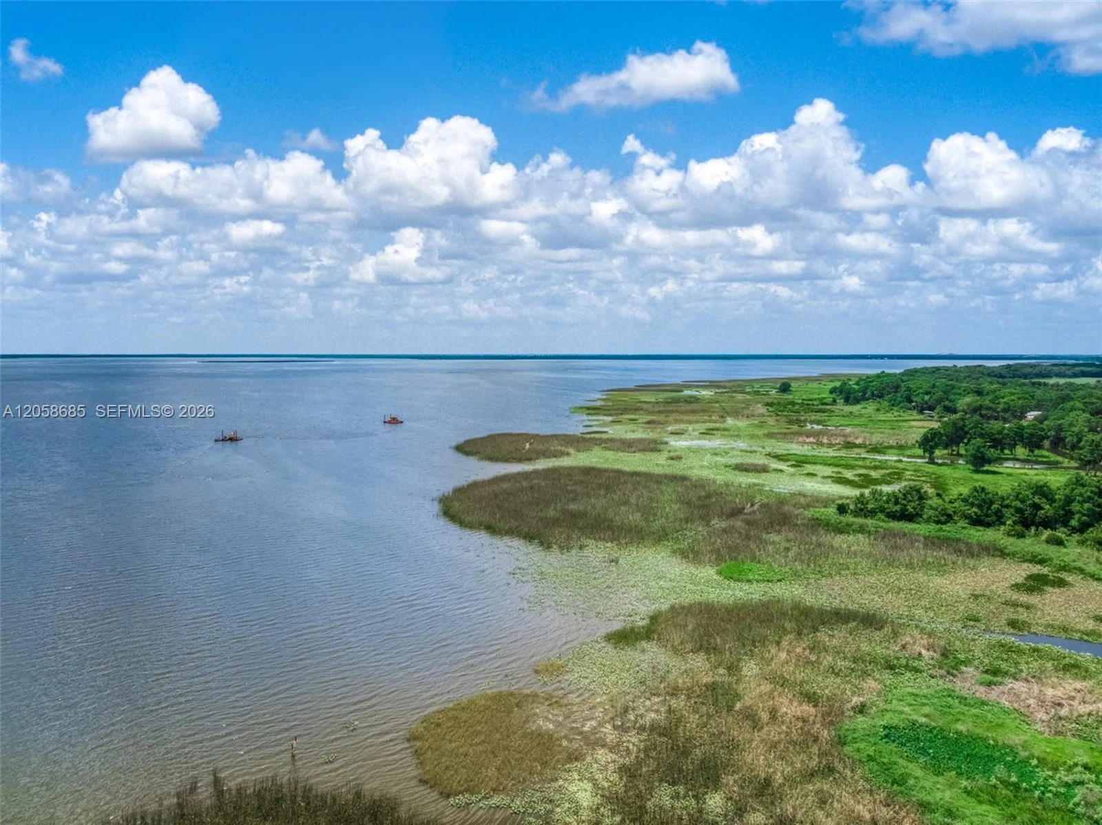221 SPECKLED PERCH PT, Other City - In The State Of Florida, FL 33857 photo 11