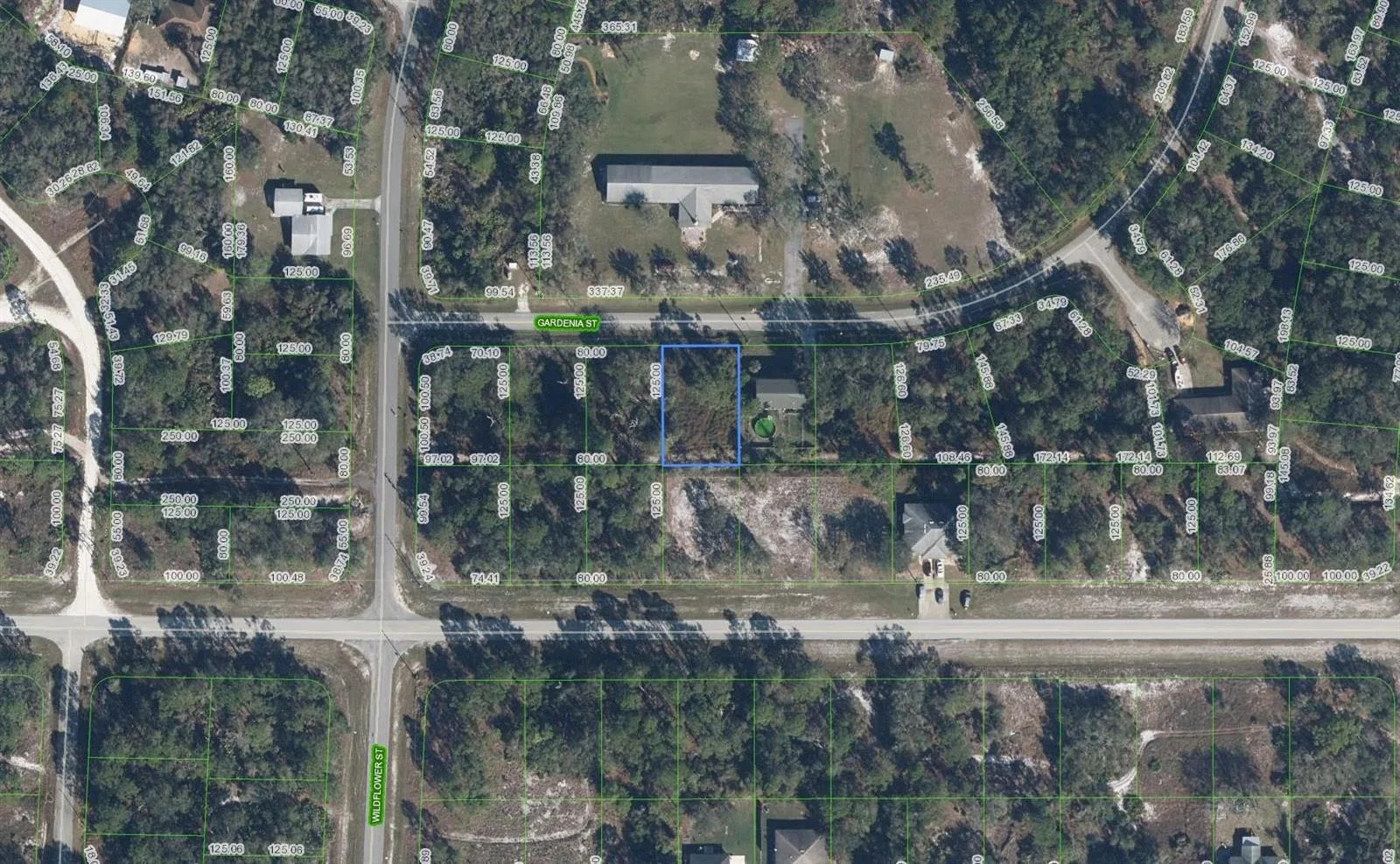 805 Gardenia Street, Lake Placid, FL 33852