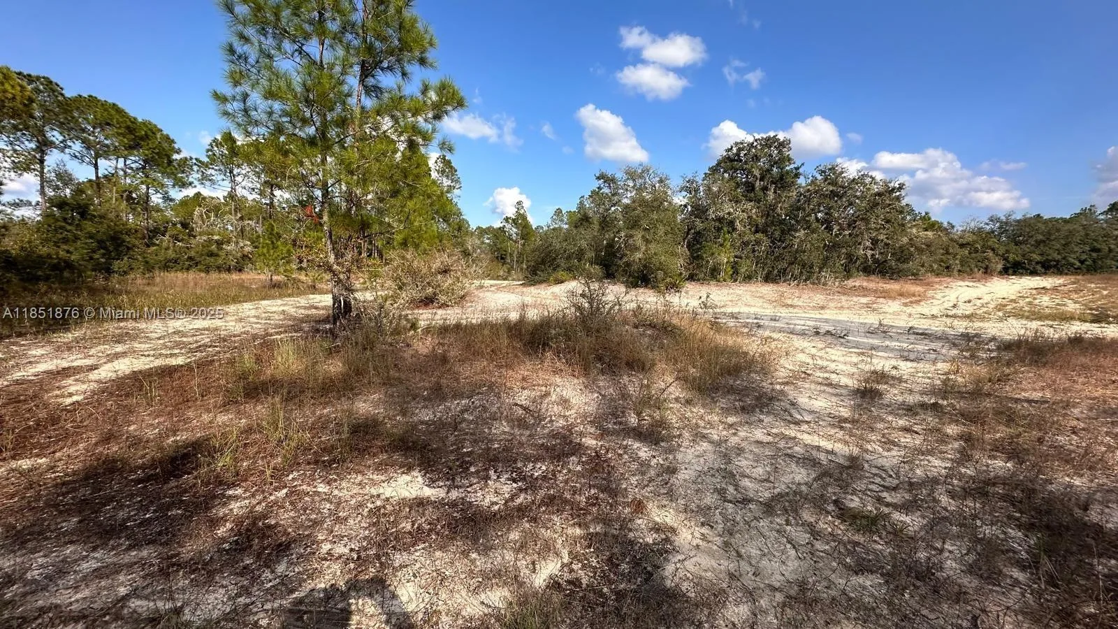 0 COLDROCK DR, Other City - In The State Of Florida, FL 33597 photo 2