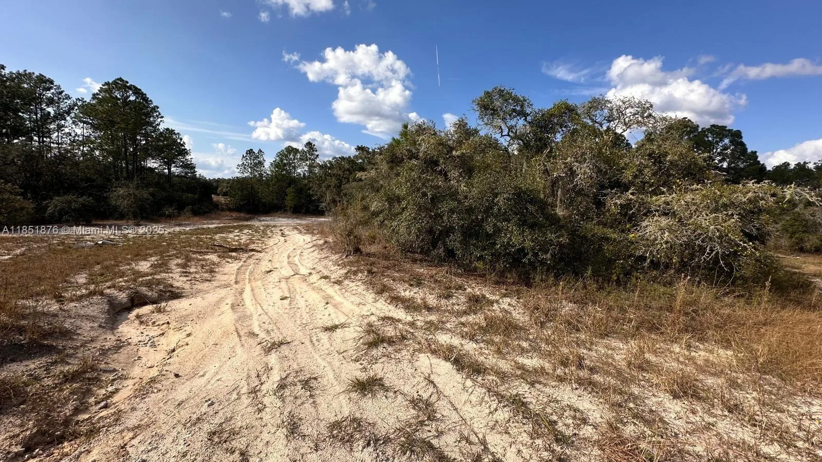 0 COLDROCK DR, Other City - In The State Of Florida, FL 33597 photo 4