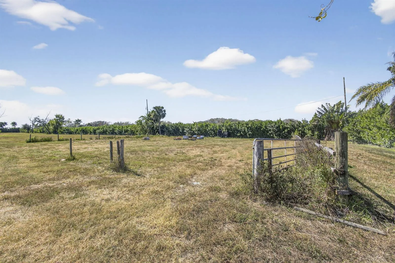 16296 Deer Path Lane, Wellington, FL 33470 photo 10