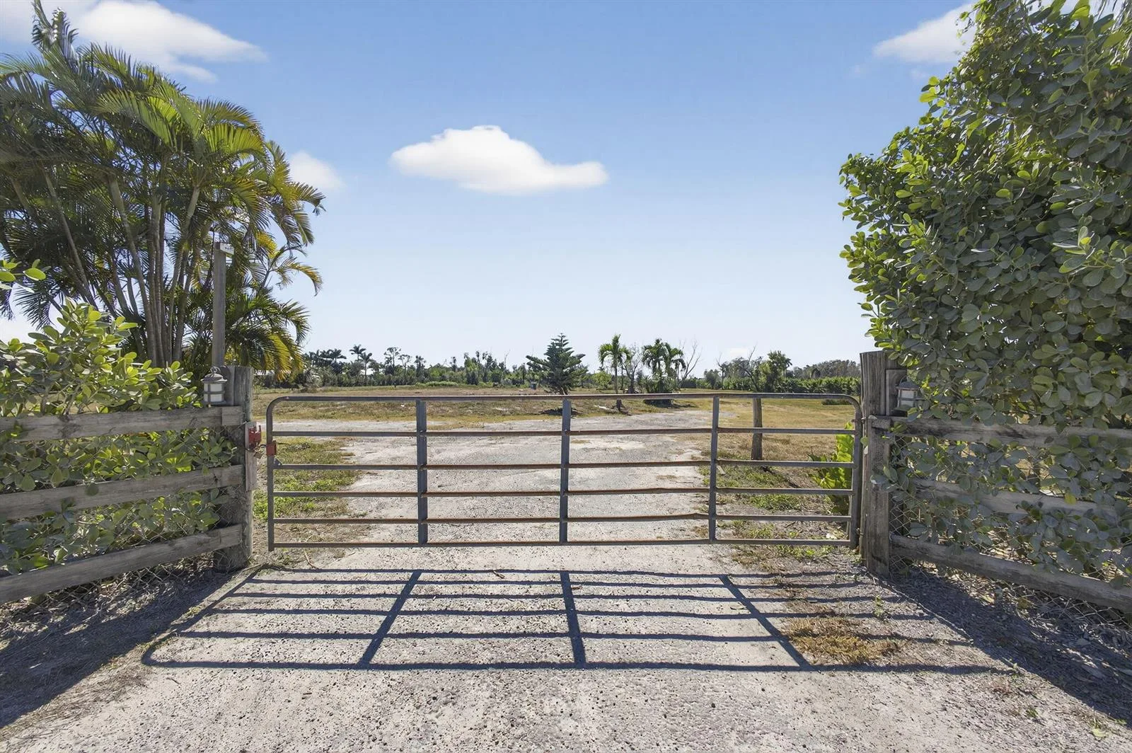 16296 Deer Path Lane, Wellington, FL 33470 photo 7