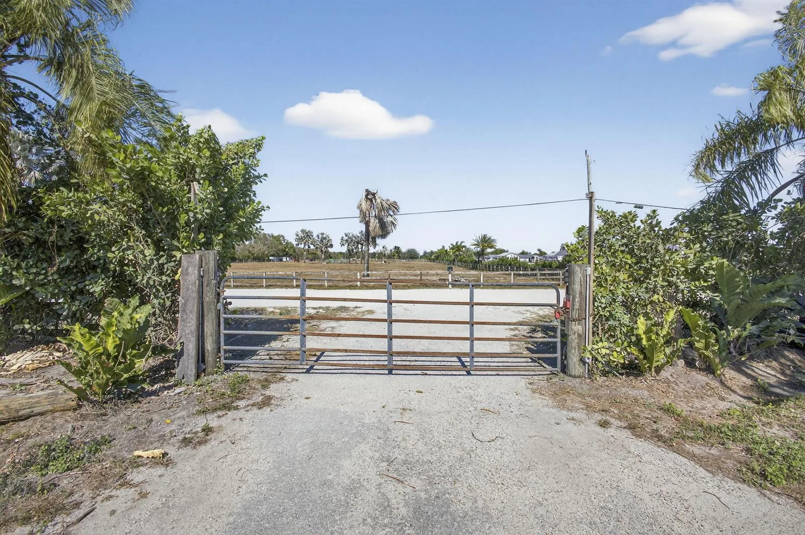16296 Deer Path Lane, Wellington, FL 33470 photo 9
