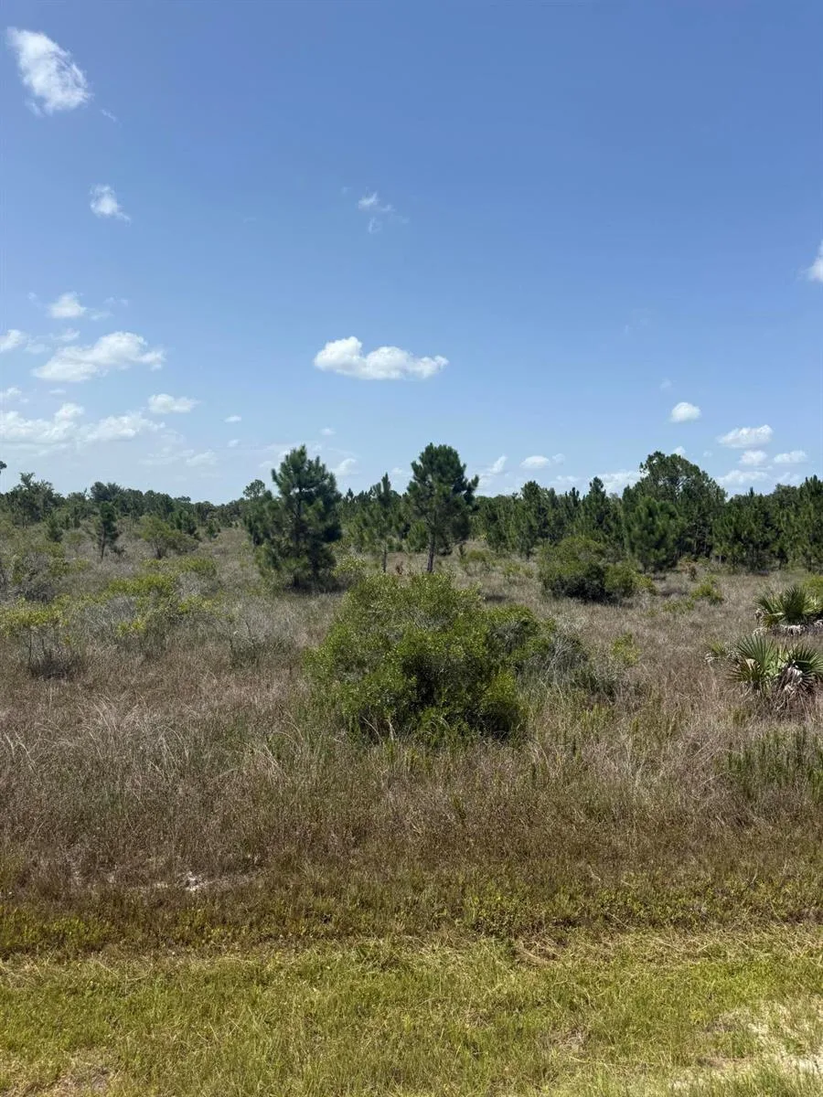 15463 NW 306th Street, Okeechobee, FL 34972 — zdjęcie 2