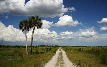 15463 NW 306th Street, Okeechobee, FL 34972 — zdjęcie 5