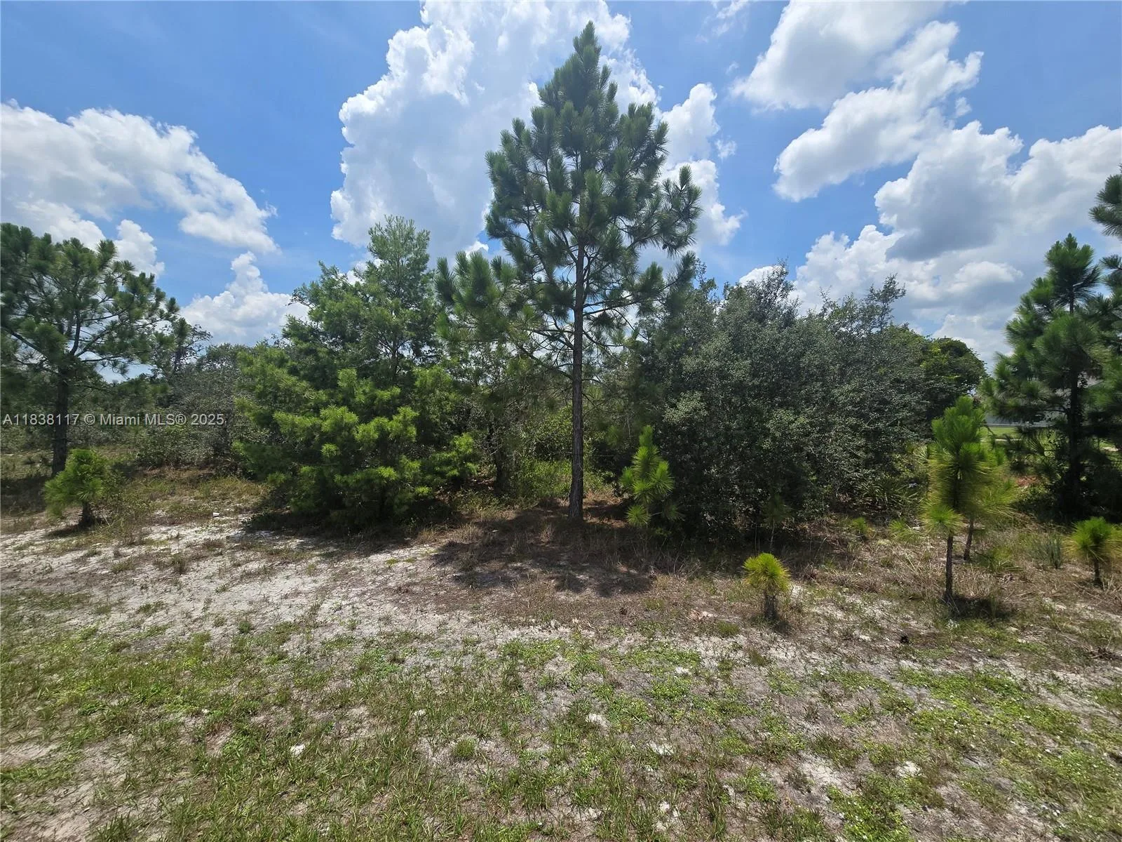 4663 Ponce De Leon Boulevard, Sebring, FL 33872 photo 2