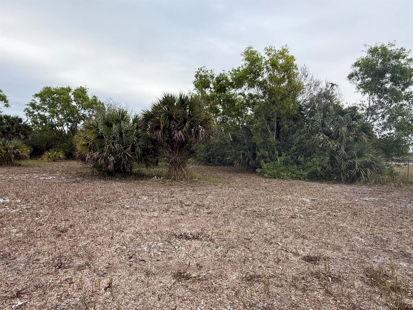 754 Hunting Club Avenue, Clewiston, FL 33440 photo 4