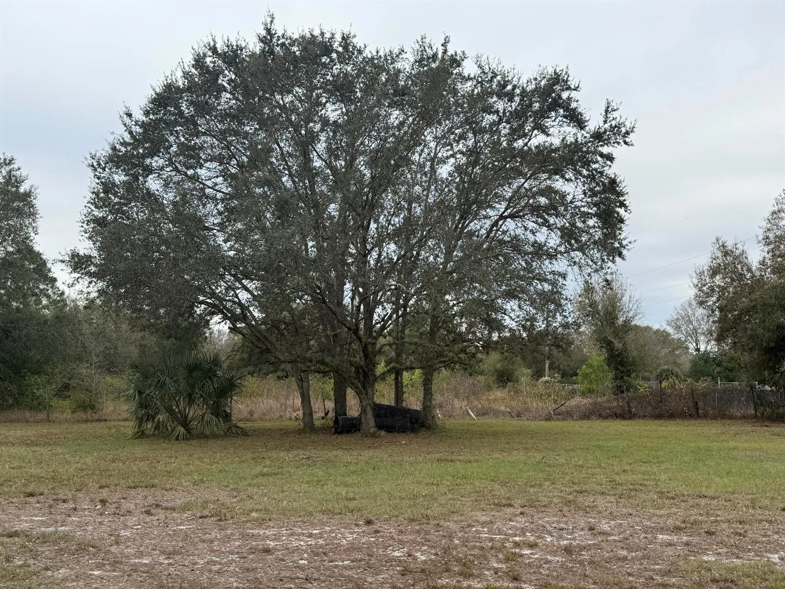754 Hunting Club Avenue, Clewiston, FL 33440 photo 7