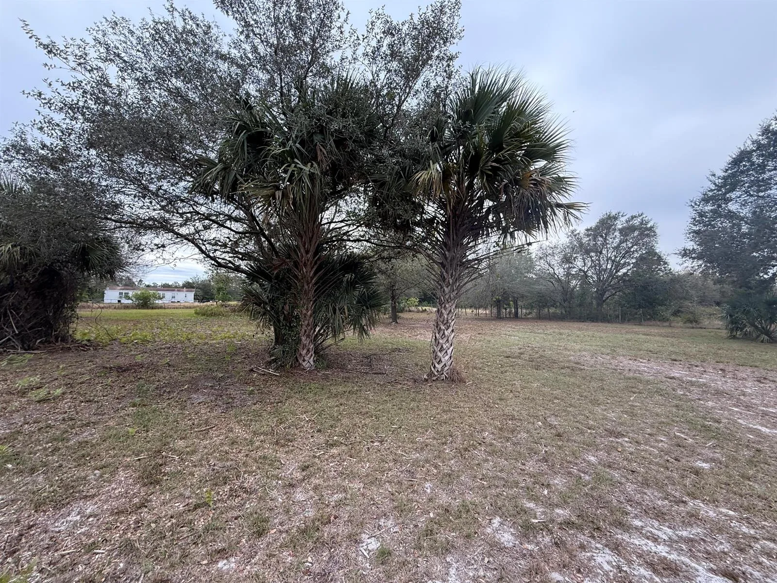 754 Hunting Club Avenue, Clewiston, FL 33440 photo 8