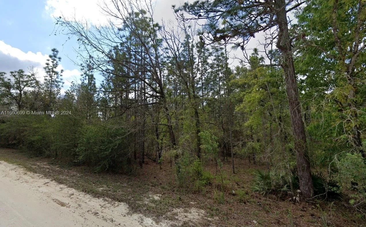 Lot 10 Albany Road, Other City - In The State Of Florida, FL 34614