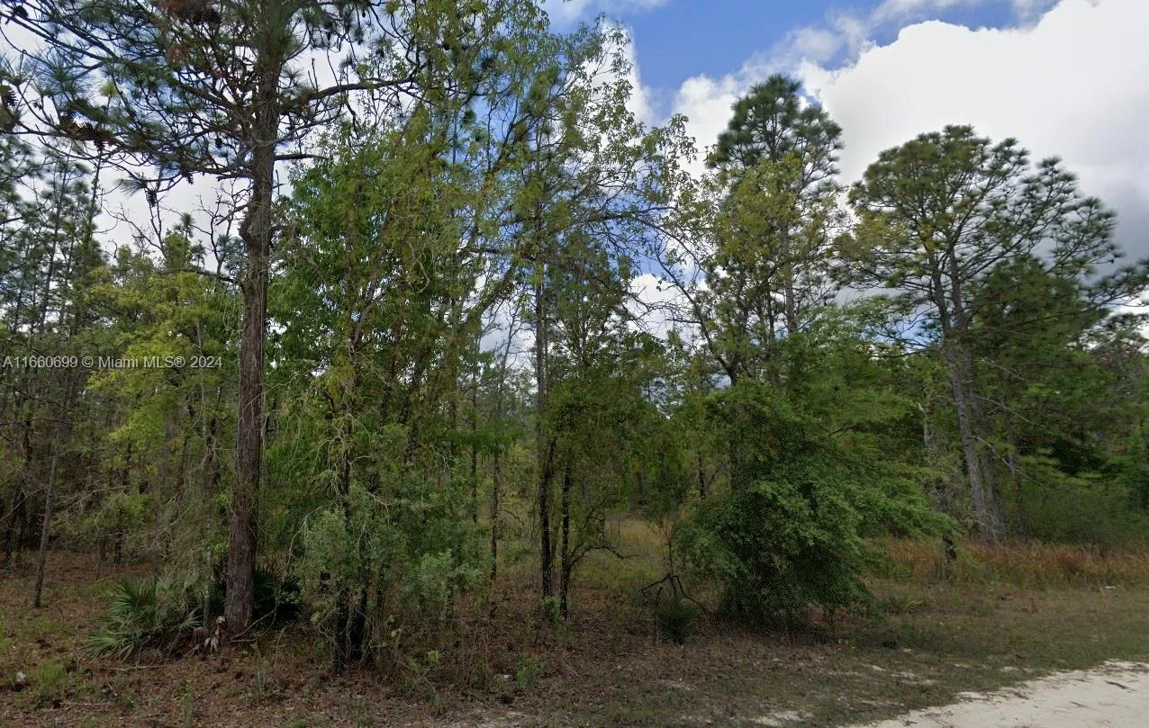 Lot 10 Albany Road, Other City - In The State Of Florida, FL 34614 photo 2