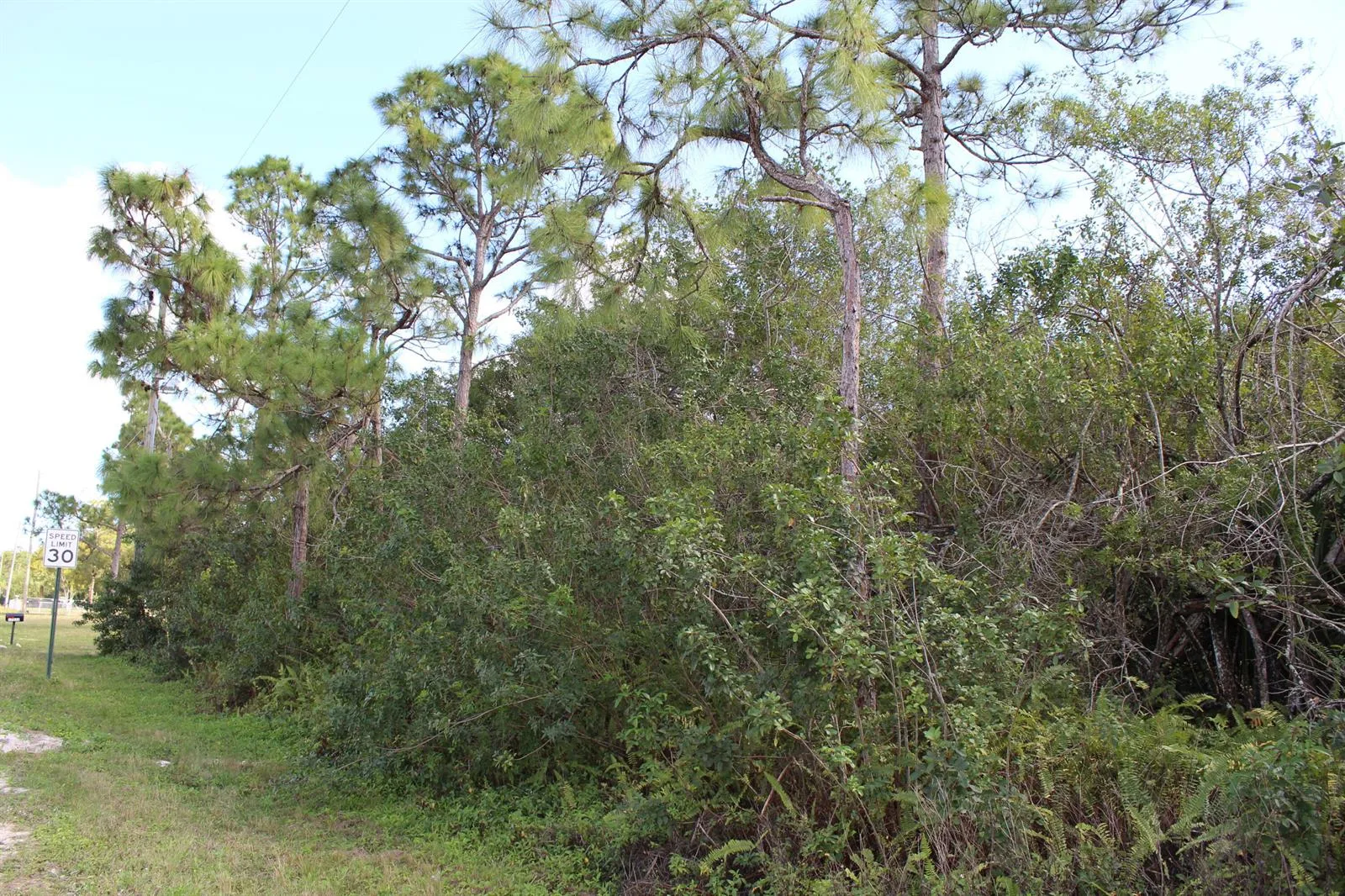 17992 94th Street N, Loxahatchee, FL 33470 photo 10