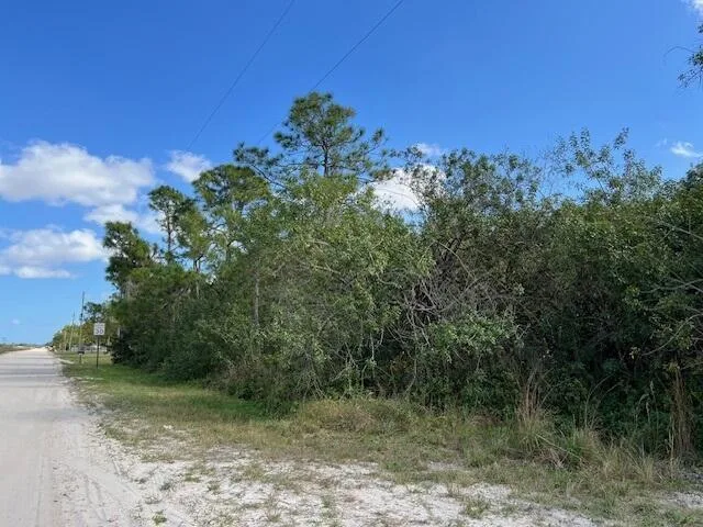 17992 94th Street N, Loxahatchee, FL 33470 photo 12