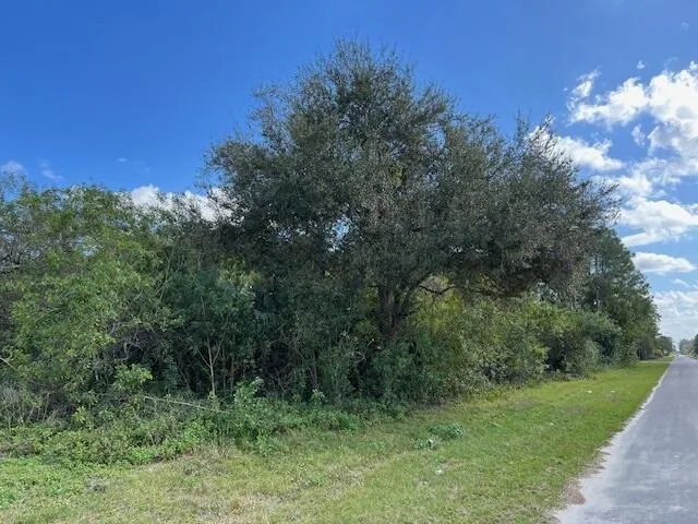 17992 94th Street N, Loxahatchee, FL 33470 photo 8