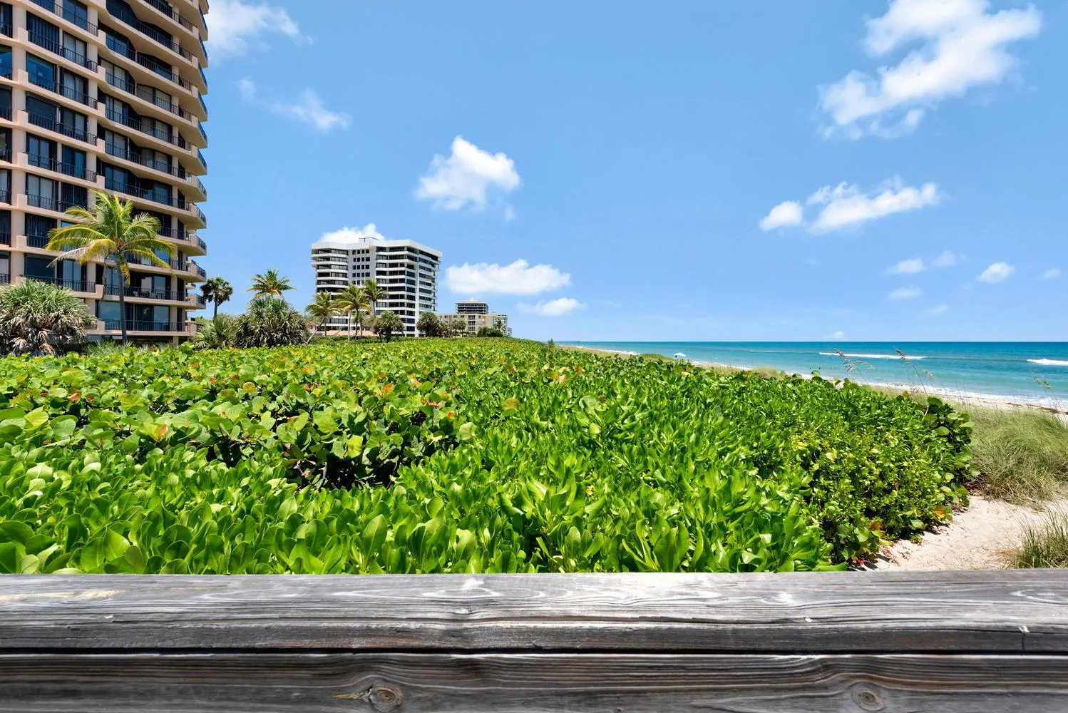 530 Ocean Drive # 202, Juno Beach, FL 33408