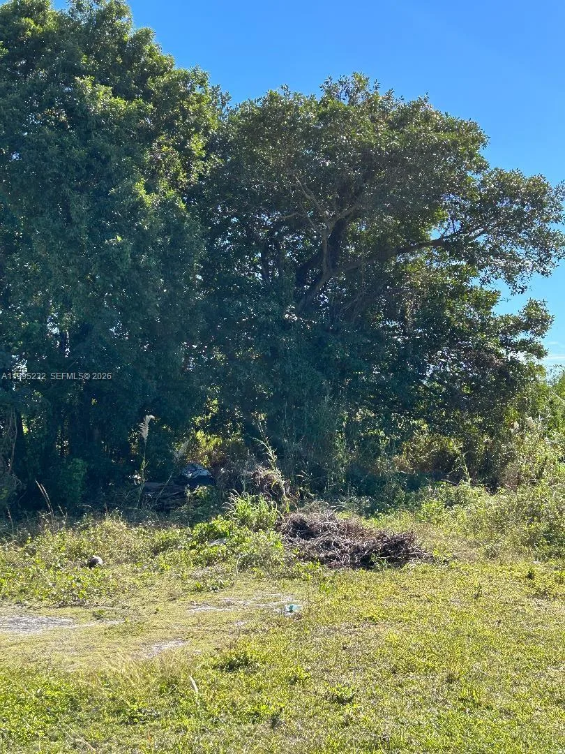 21820 Sw 112th Ct, Unincorporated Dade County, FL 33170 photo 2