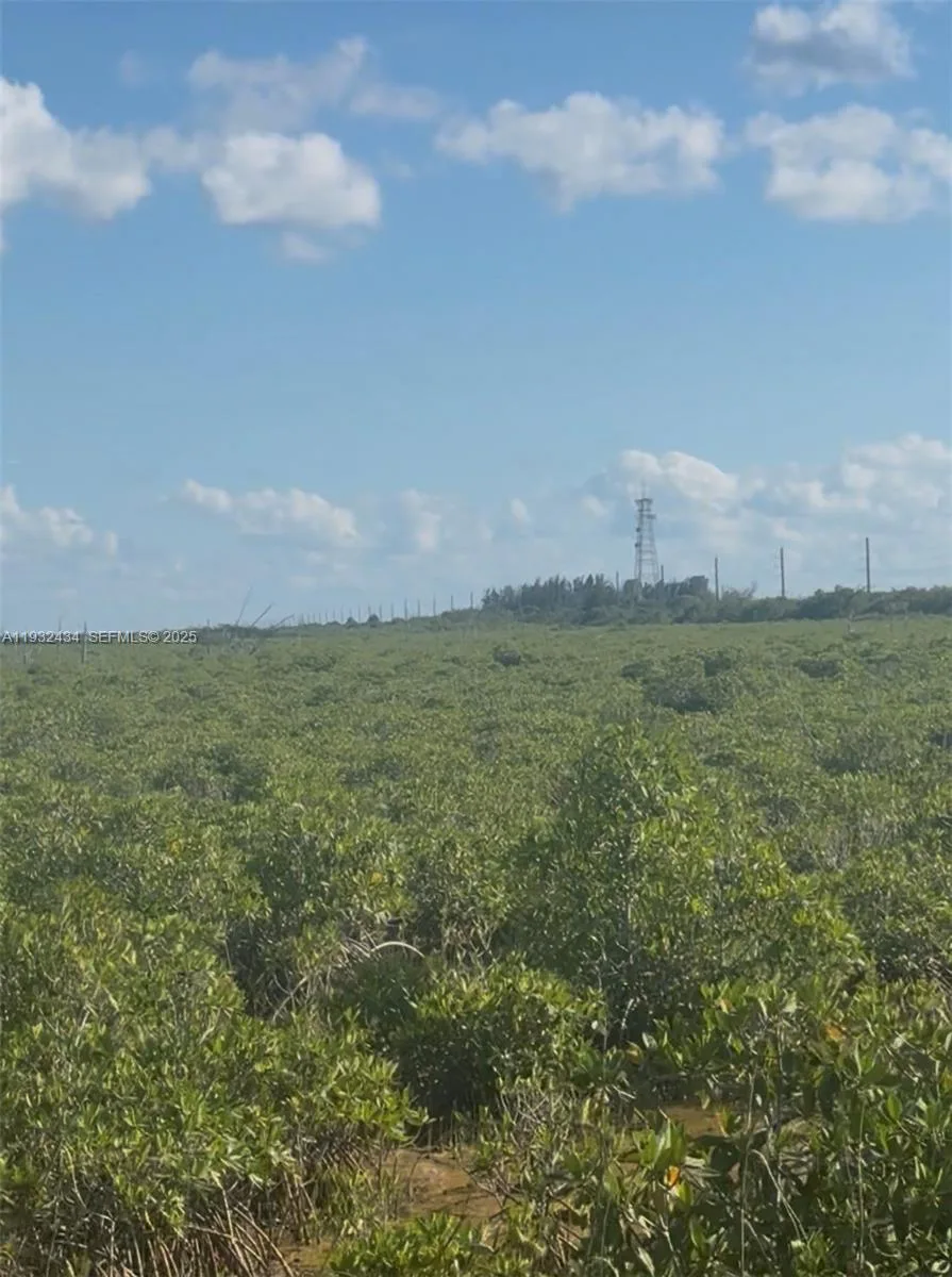 UNINCORPORATED, UNINCORPORATED,, Homestead, FL 33035 photo 11