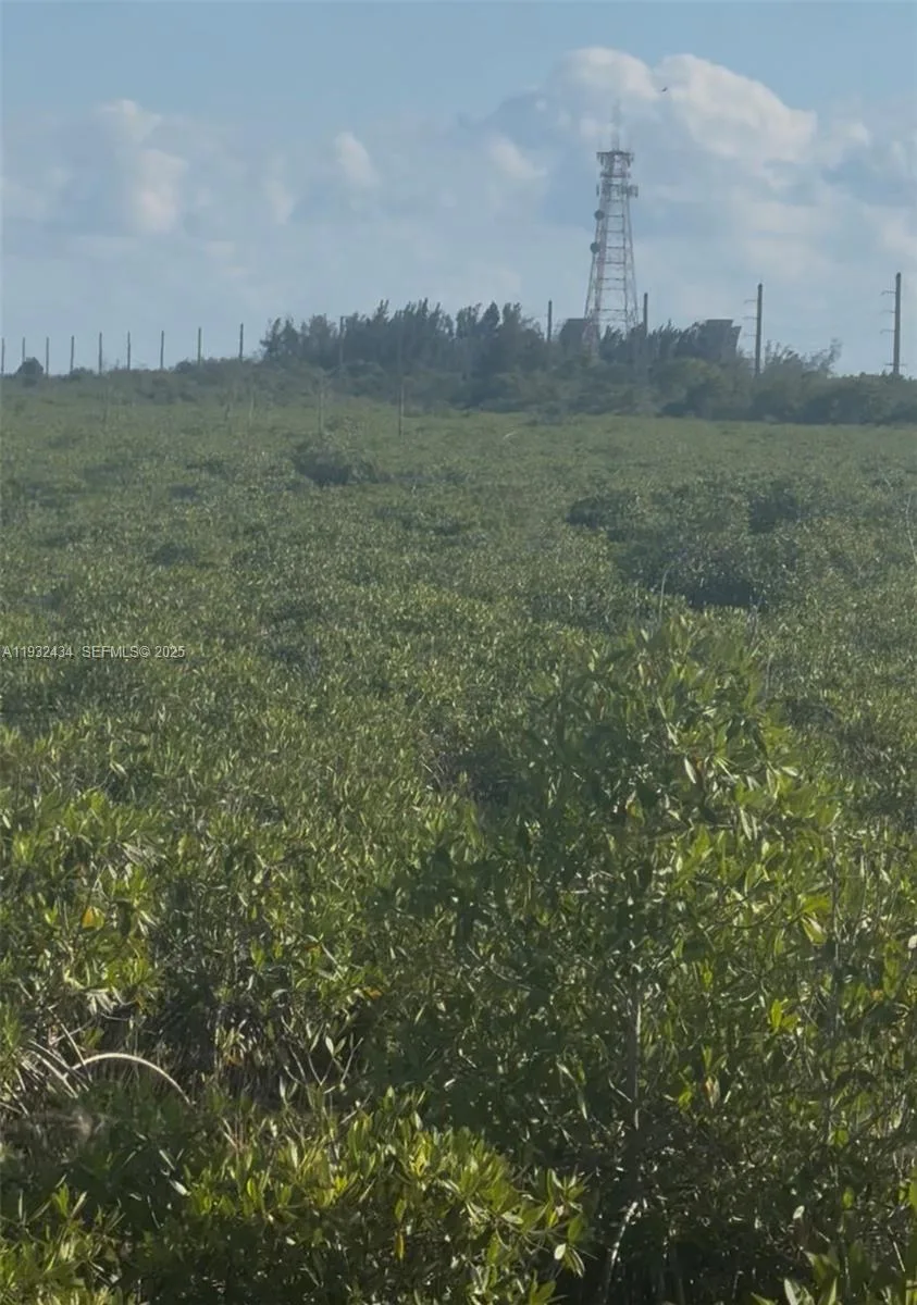UNINCORPORATED, UNINCORPORATED,, Homestead, FL 33035 photo 12