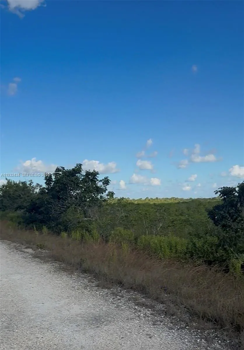 UNINCORPORATED, UNINCORPORATED,, Homestead, FL 33035 photo 2