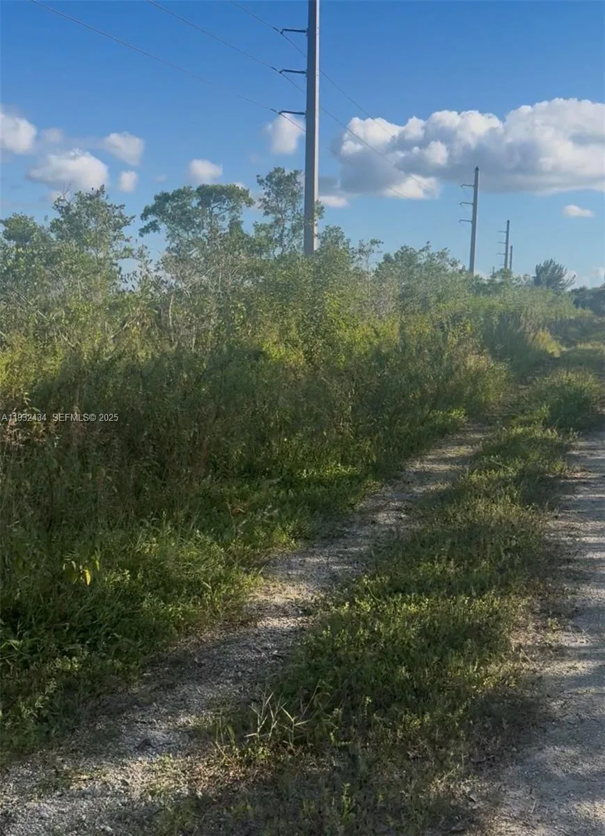 UNINCORPORATED, UNINCORPORATED,, Homestead, FL 33035 photo 3