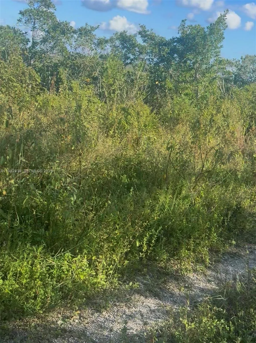 UNINCORPORATED, UNINCORPORATED,, Homestead, FL 33035 photo 6