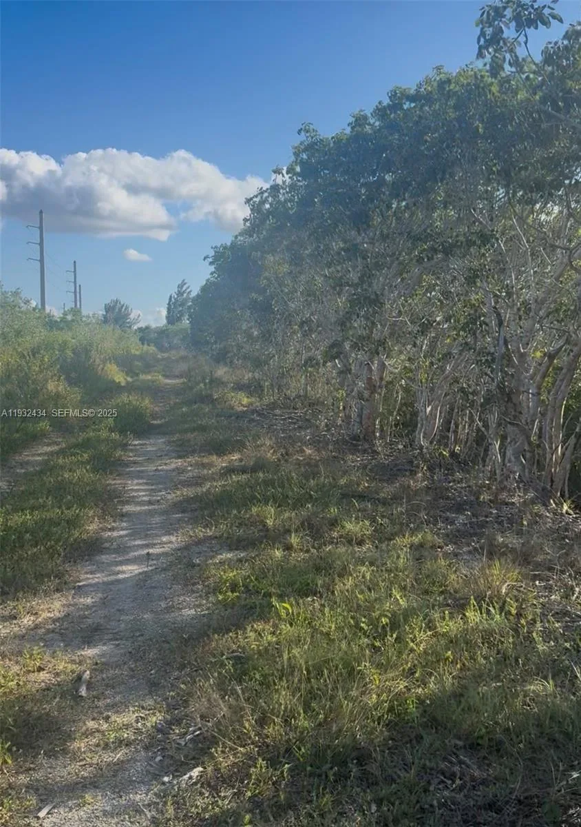 UNINCORPORATED, UNINCORPORATED,, Homestead, FL 33035 photo 8
