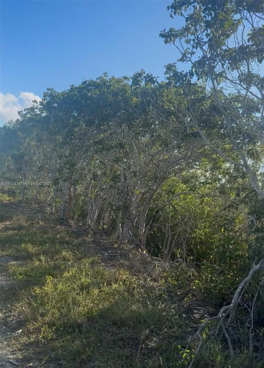 UNINCORPORATED, UNINCORPORATED,, Homestead, FL 33035 photo 9