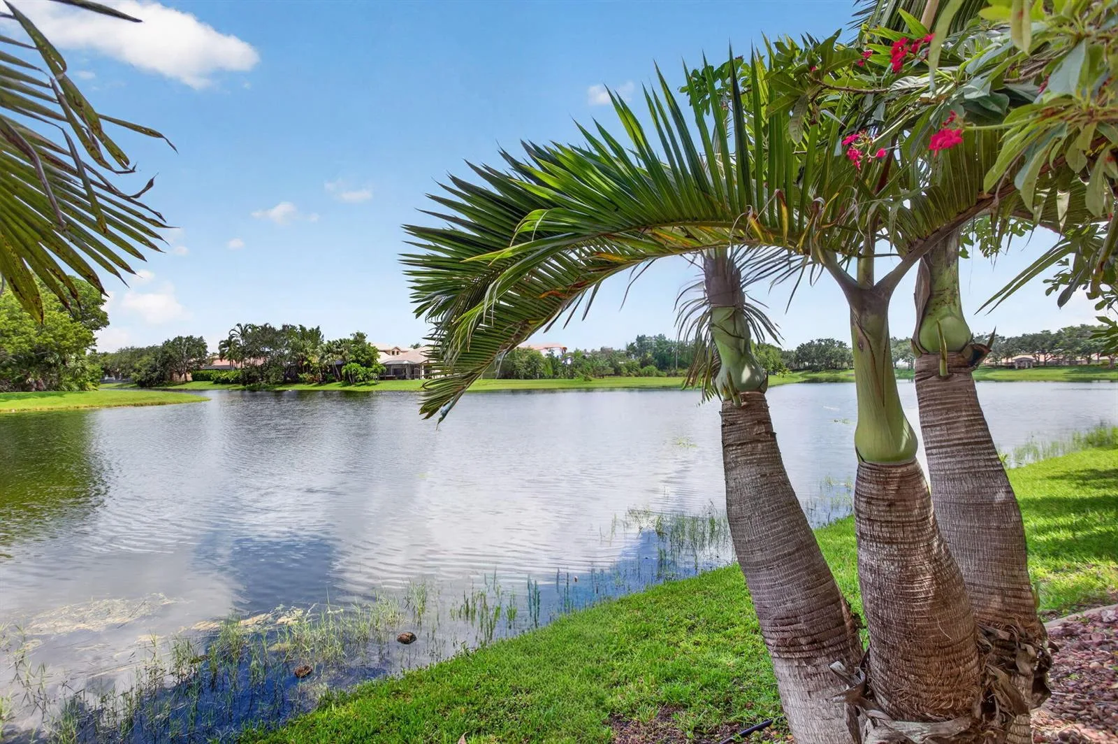 6443 NW 110th Avenue, Parkland, FL 33076 photo 4