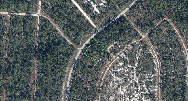 721 Wildflower Street, Lake Placid, FL 33852