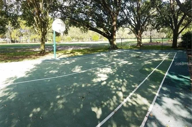 3913 Northampton Way, Tampa, FL 33618 photo 3