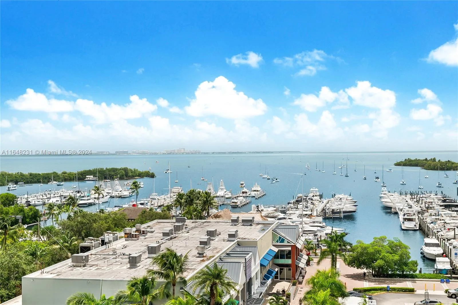 Coconut Grove Bayshore – photo 9