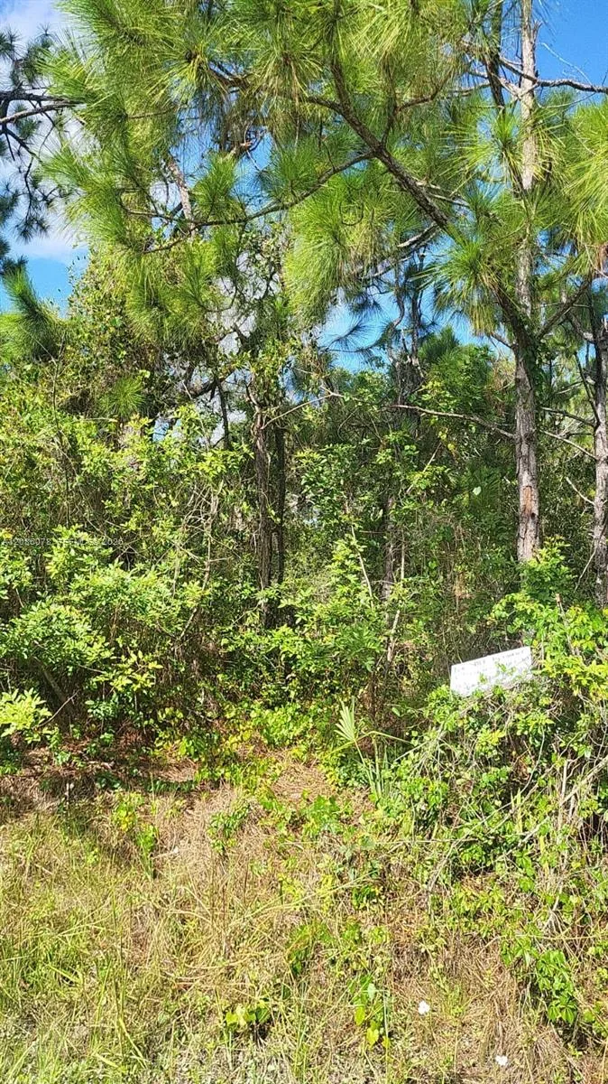 29256 MARIS DR, Punta Gorda, FL 33982