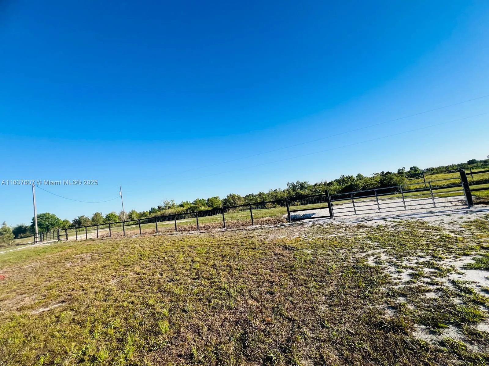 16371 NW 262 st, Okeechobee, FL 34972 photo 3