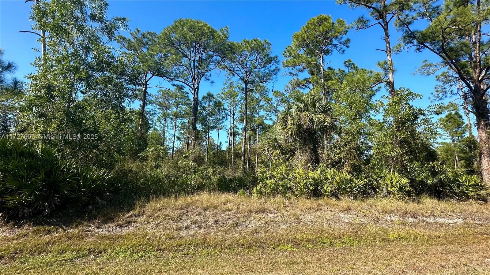 219 Monroe Avenue, Lehigh Acres, FL 33936 photo 3