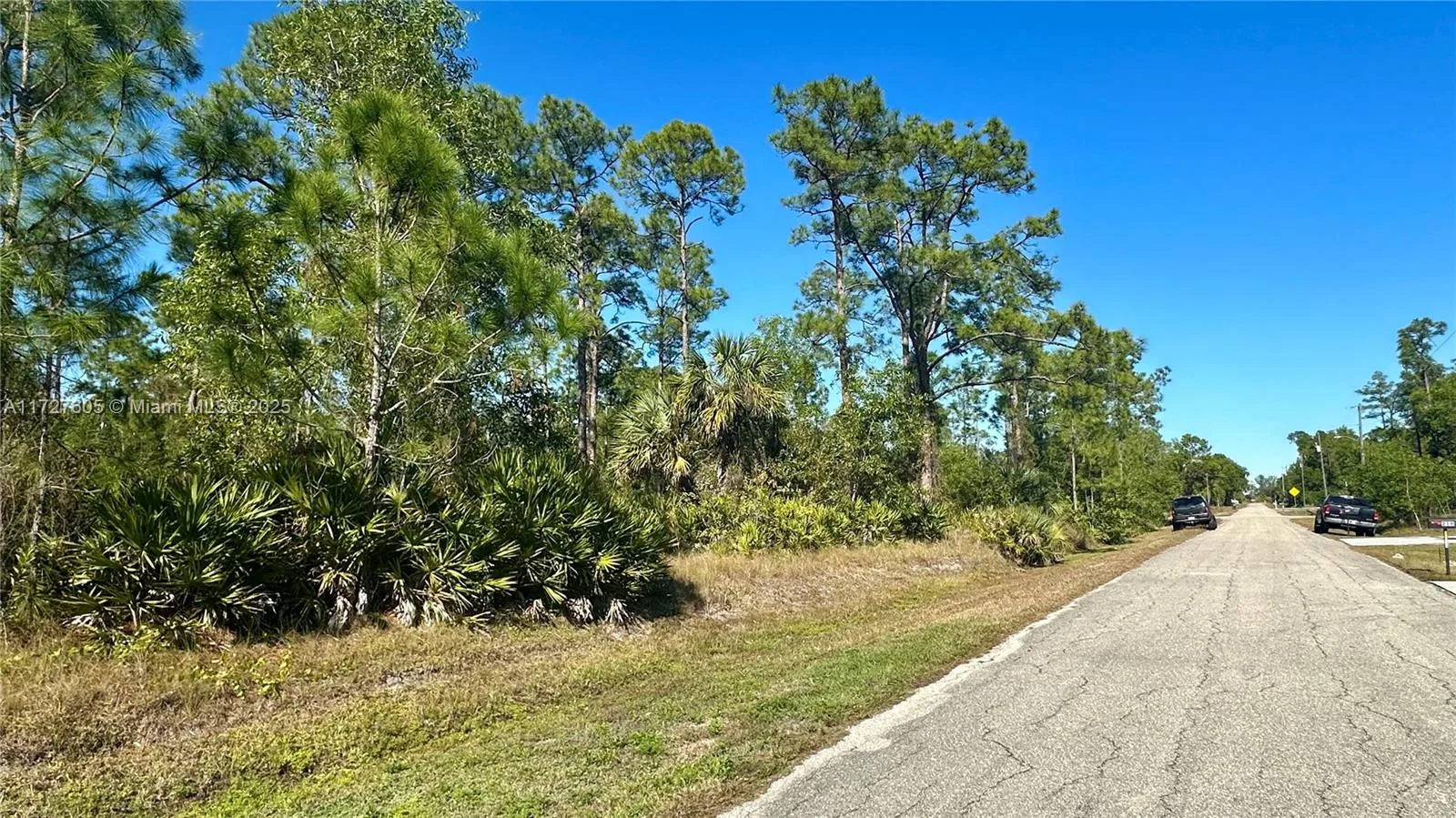 219 Monroe Avenue, Lehigh Acres, FL 33936 photo 4
