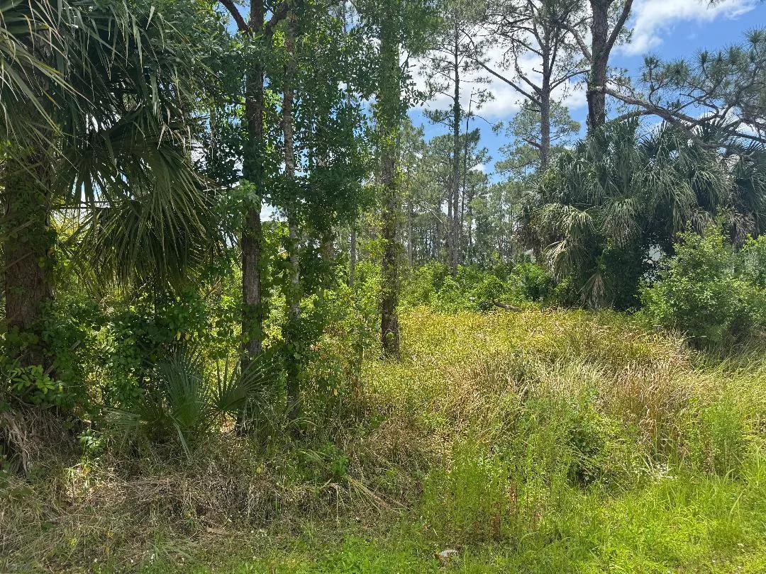 1458 Transcoro Street SE, Palm Bay, FL 32909