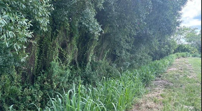 0 NE 13th Avenue, Okeechobee, FL 34972