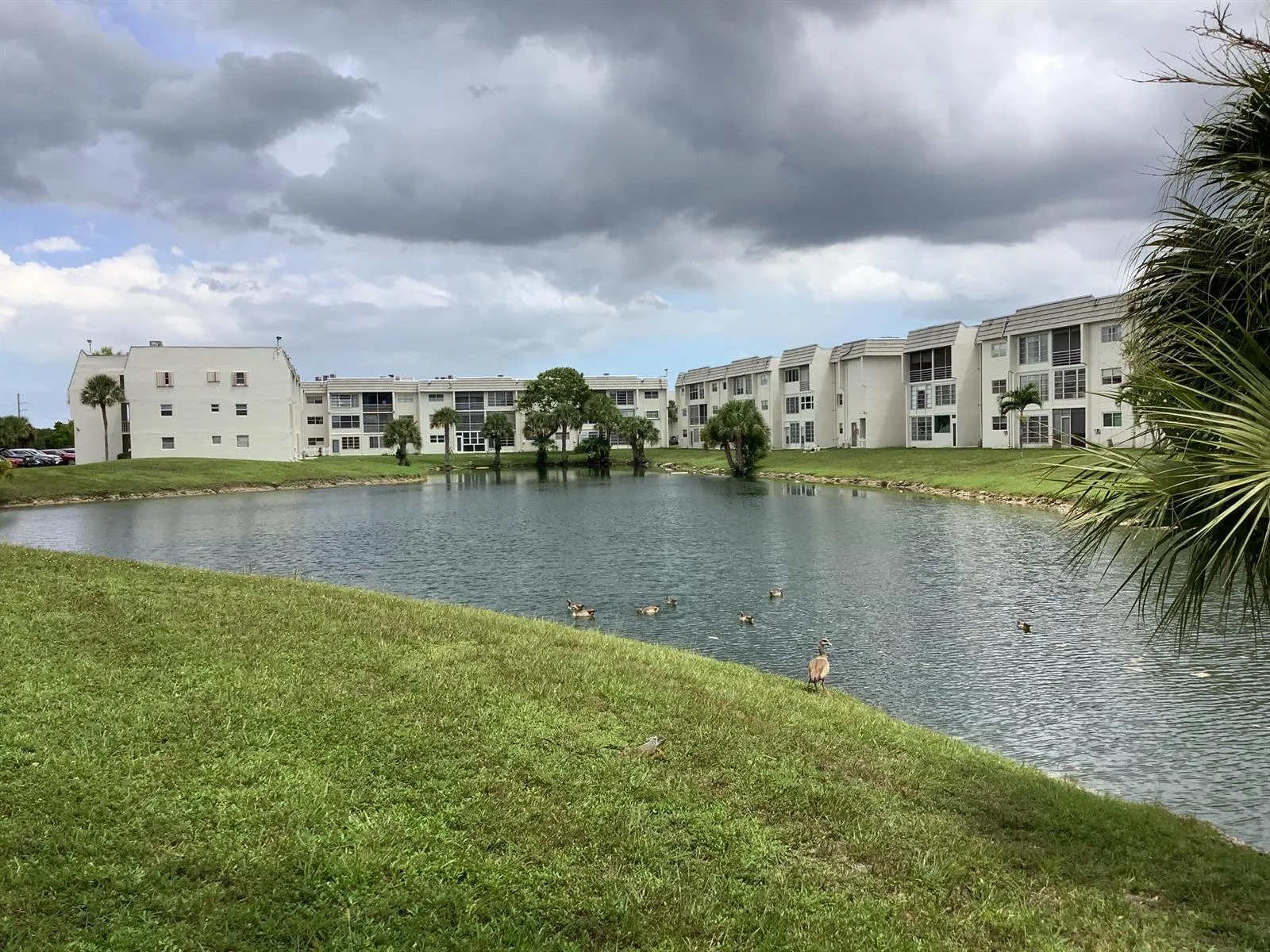 8400 Sunrise Lakes Boulevard # Unit 101, Sunrise, FL 33322