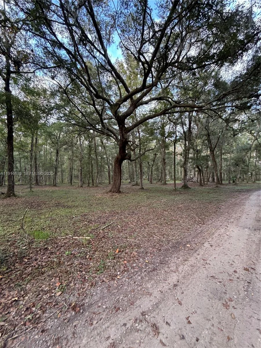 6169 COUNTY ROAD 209 S, Other City - In The State Of Florida, FL 32043 photo 5