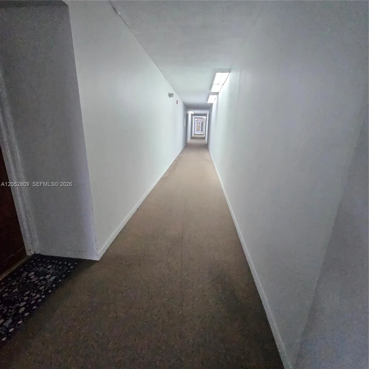 11790 SW 18th St # 519-3, Miami, FL 33175 photo 5